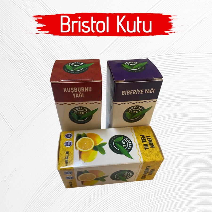 Bristol Kutu Bristol Kutu